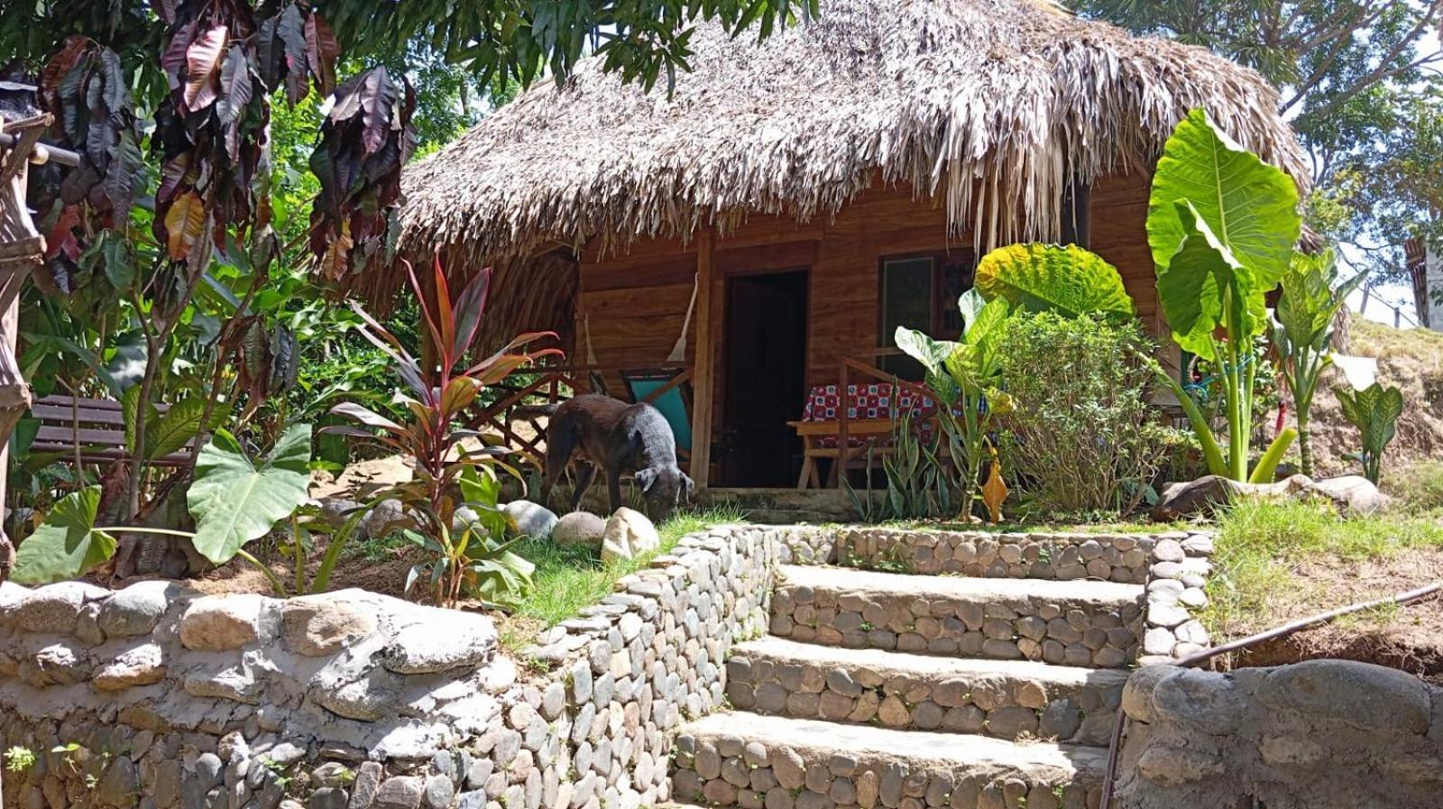 Ecocabanas Diosa Jaguar Tayrona La Esmeralda  Exterior foto
