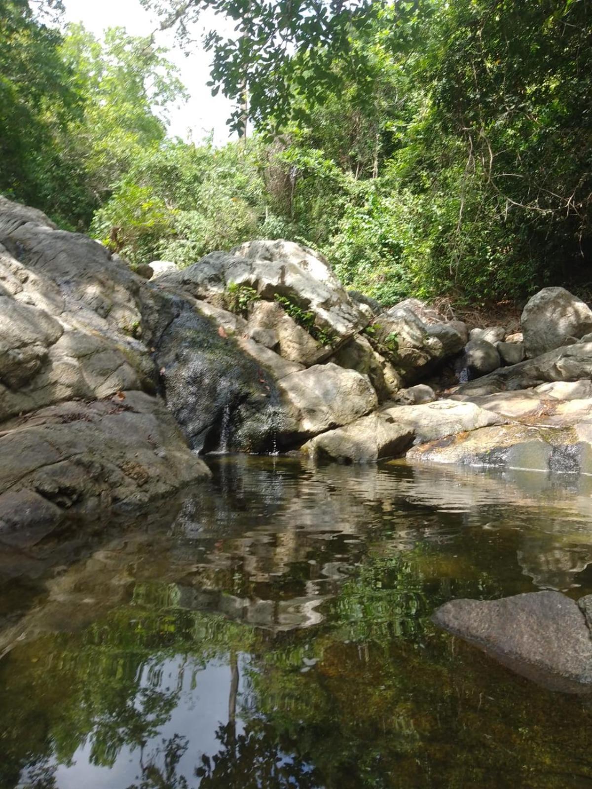 Ecocabanas Diosa Jaguar Tayrona La Esmeralda  Exterior foto