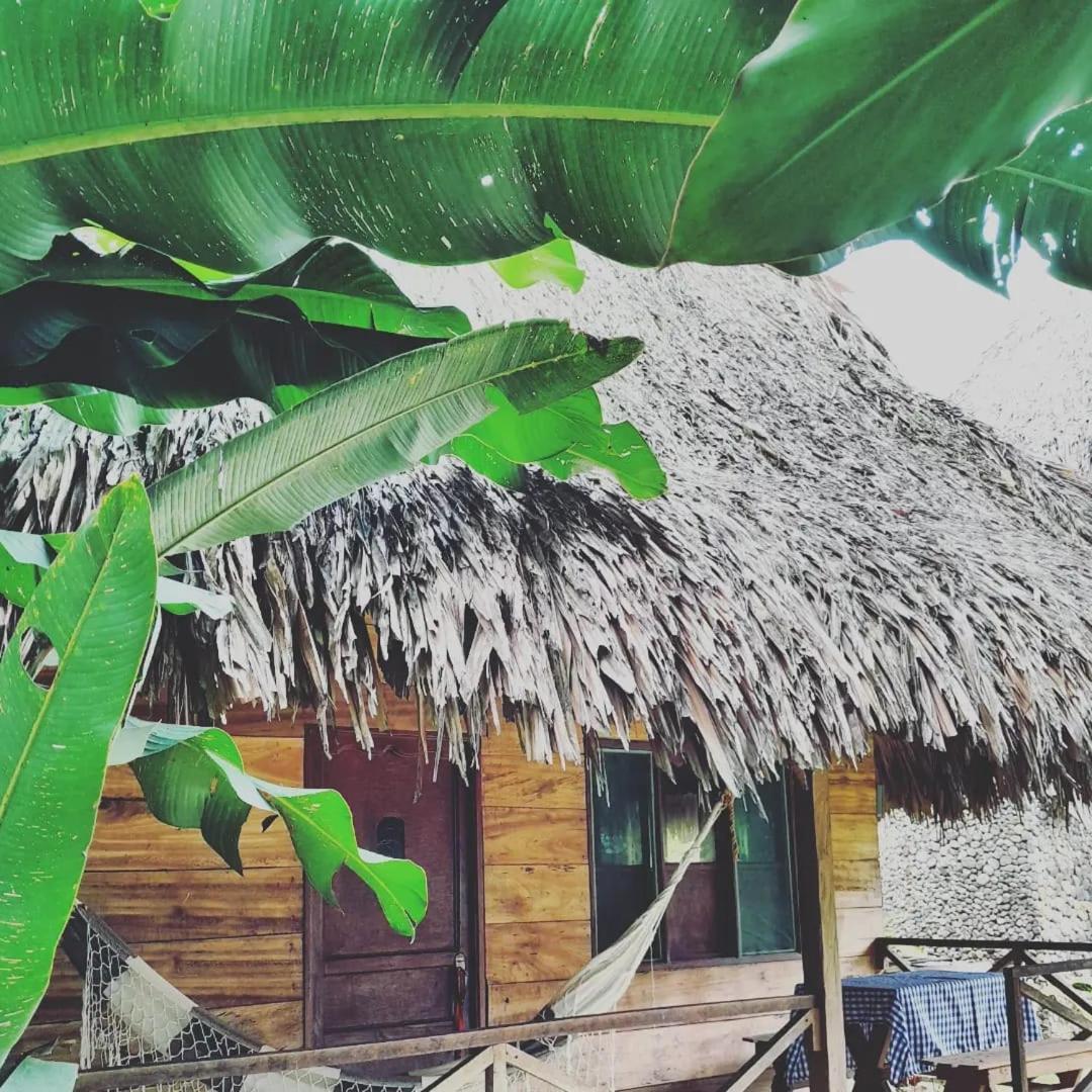Ecocabanas Diosa Jaguar Tayrona La Esmeralda  Exterior foto