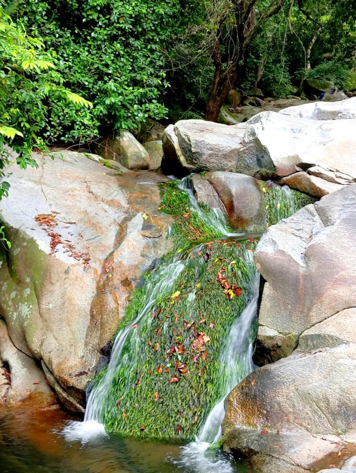 Ecocabanas Diosa Jaguar Tayrona La Esmeralda  Exterior foto
