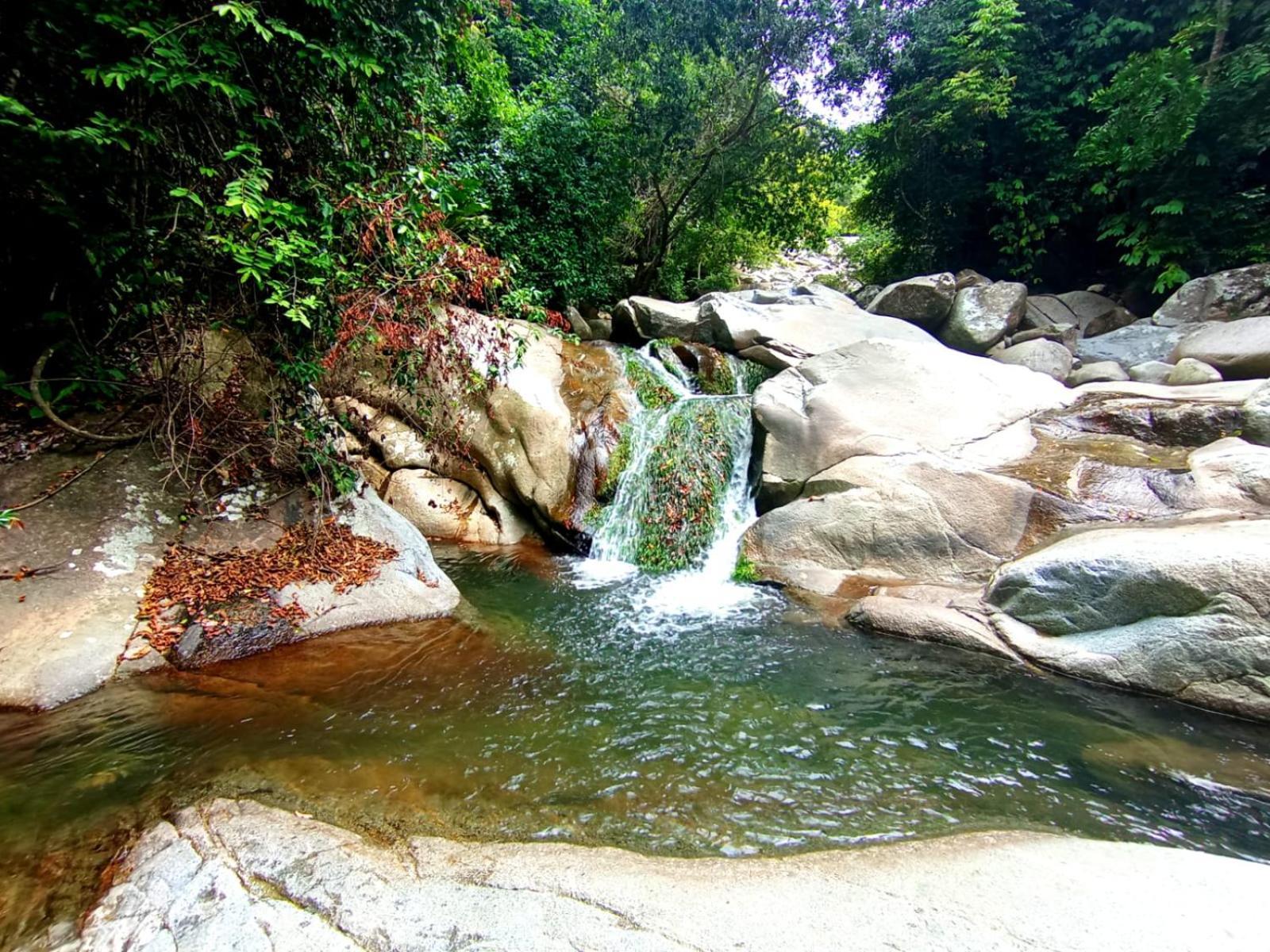 Ecocabanas Diosa Jaguar Tayrona La Esmeralda  Exterior foto